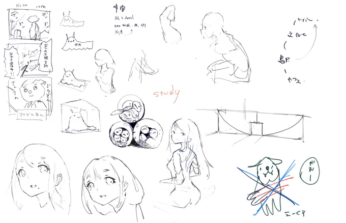 study