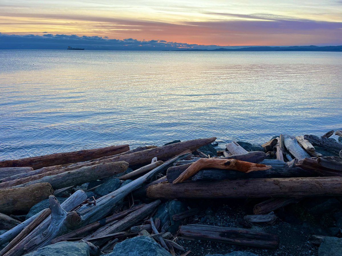 dylanlover1969's tweet photo. #yyjsunset https://t.co/Jh5QEhbXYx