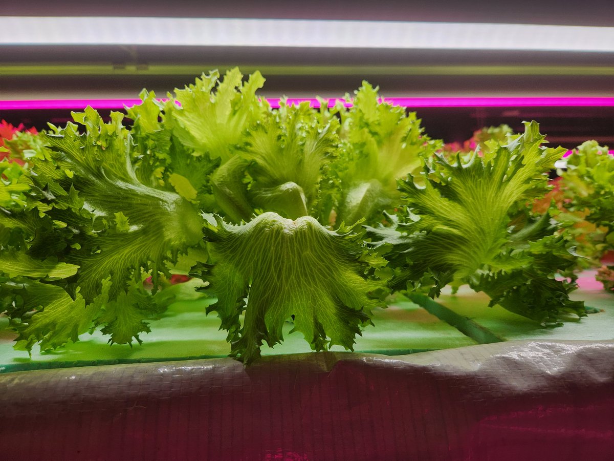 Spudshacks's tweet image. We ❤️  it.