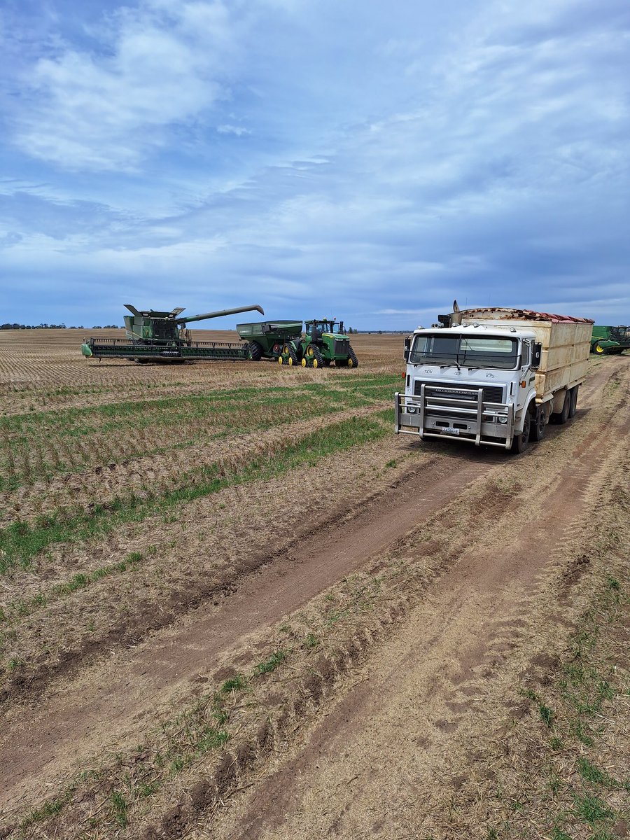 Jonathan Dyer tweet media