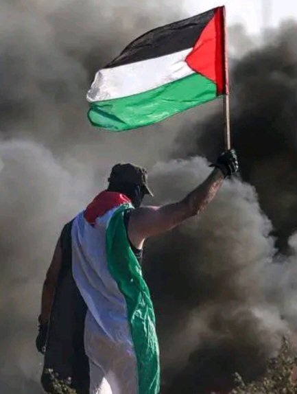 ¡Indígnate!
¡Palestina somos todos!