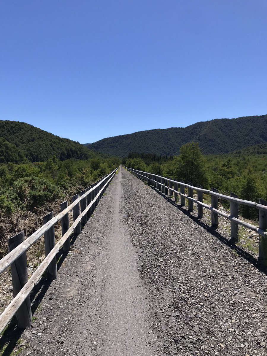 jpcasalda's tweet photo. Ciclovía Malalcahuello-Manzanar https://t.co/utRpxatnxk