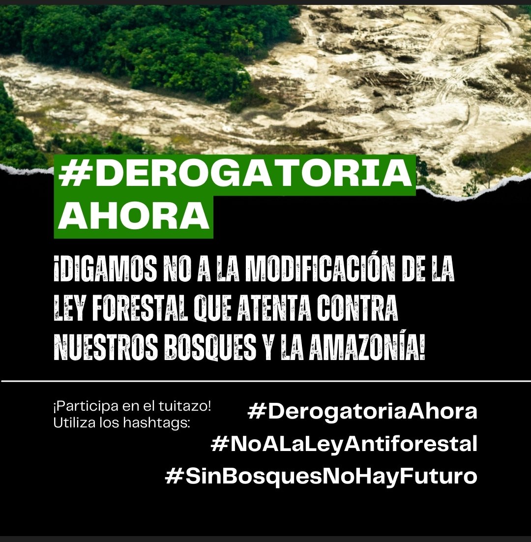 terloam's tweet photo. Cuidemos nuestra Amazonia, Protejamos  nuestro futuro,  #DerogatoriaAhora
 #NoALaLeyAntiforestal #SinBosquesNoHayFuturo https://t.co/Q1G05837mg