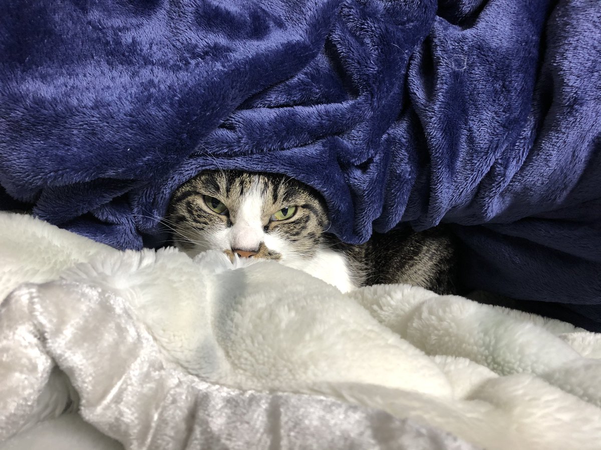 mrnjreczde's tweet photo. 眠る様に死んだ…

本当に寝ている様な死に顔に…

現実を受け入れられない…

けど、前を見なければいけない、うじうじ悲しんでも美樹は喜ばない、たぶん俺の代わりに死んだ…

身体を治して少しでも元気成らなければ https://t.co/Re4ALl0ShU