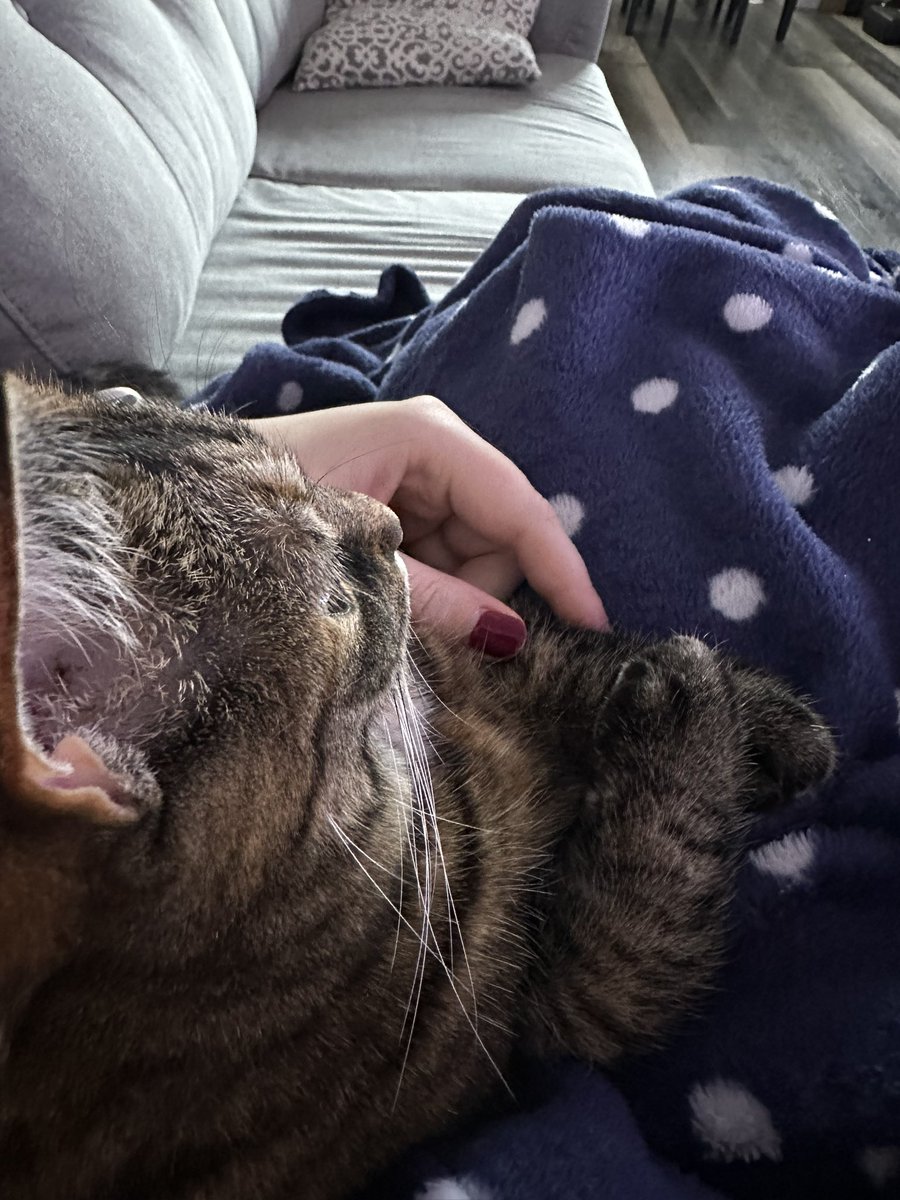 milliejg0312's tweet image. Do we find out who/what is Jake in my fic this week? #CallMeOut #Chapter5

5 likes and I’ll start and finish writing the chapter this week💕

Pic for attention😁