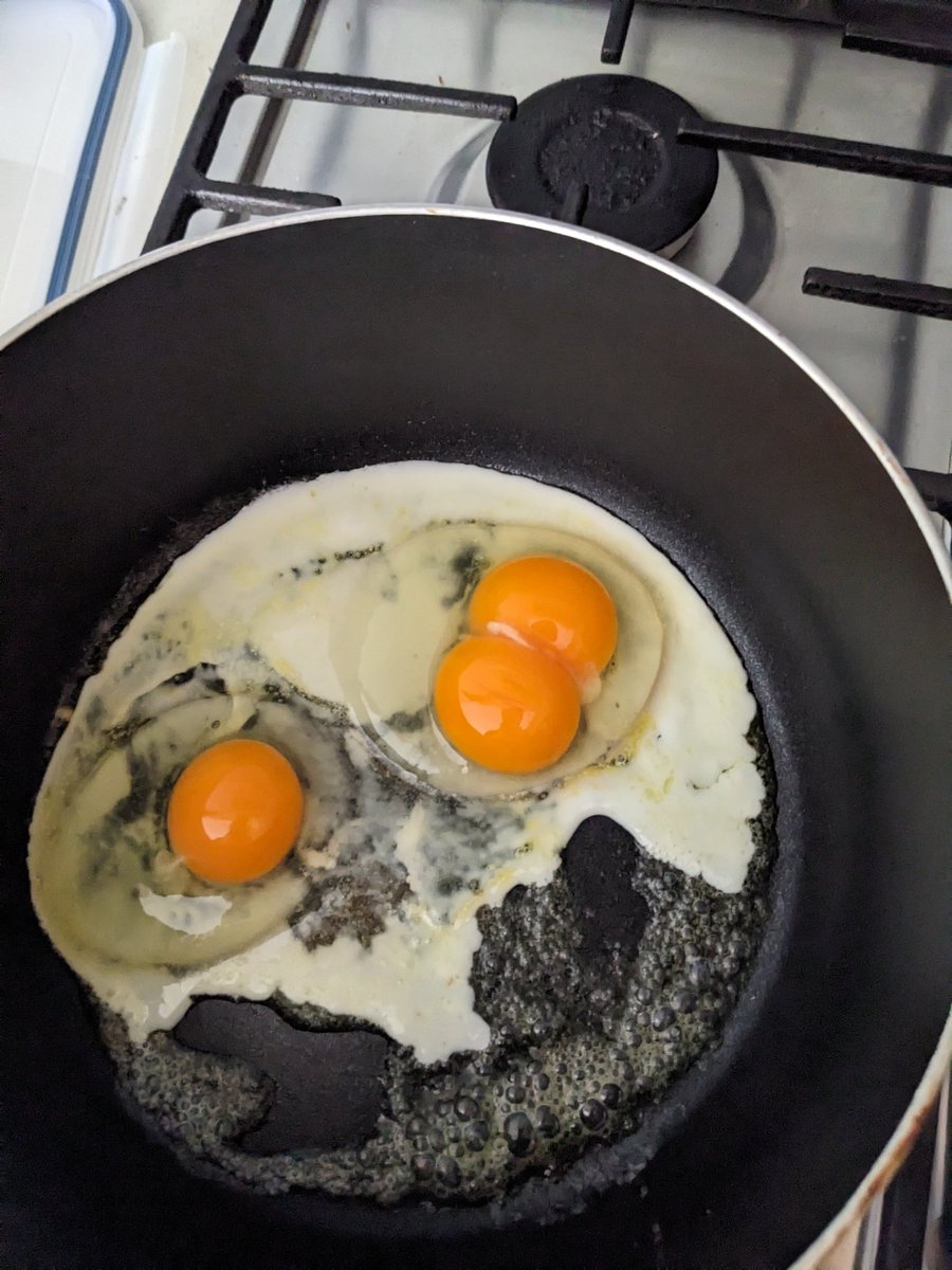 What the actual fuck is happening to those chickens???