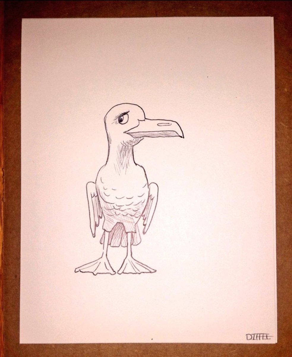 saunieindiego's tweet photo. Eight years ago, I was lucky enough to receive this #DiffeeDoodle.  Drawn (just for me) by @MatthewDiffee. I just adore it. Thank you, Matthew!
#BirdsMatter https://t.co/j2nY9XmQWV