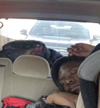 shawnknyte's tweet photo. @DaveyPainting @FindingMasson @ItsDustinWaller @indiewrestling @LittleKylon @TheOnyxMane Me the whole ride #slumpgod https://t.co/dQqAR5fynM