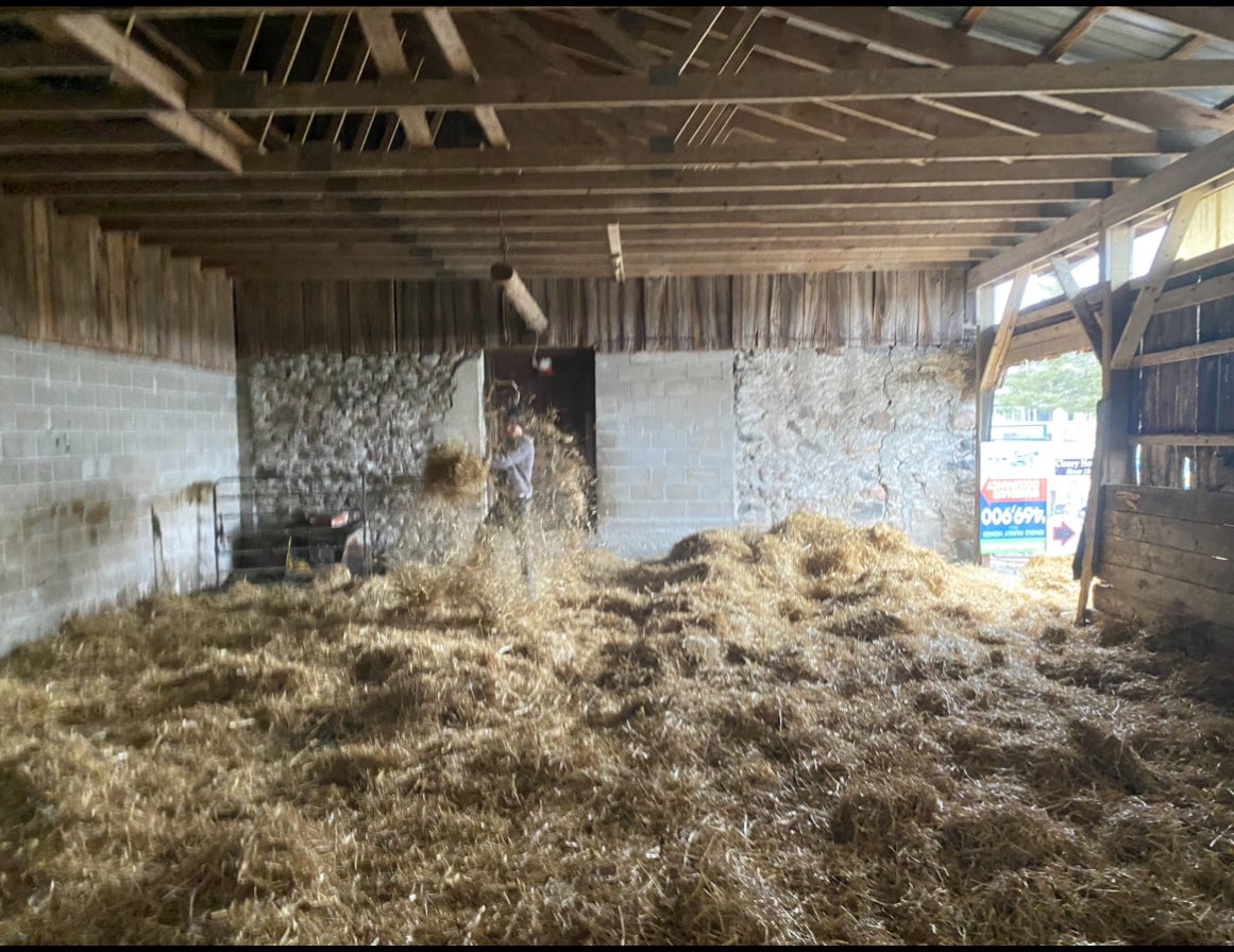 ClearyCattle's tweet photo. Cold snap ahead. Warm bedding down ☑️ https://t.co/Cx3wkweZMr