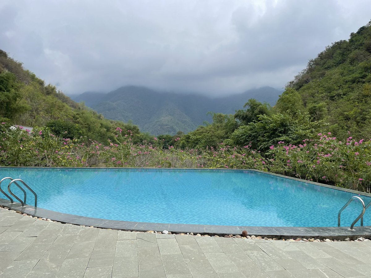 Kyra Hamilton tweet media