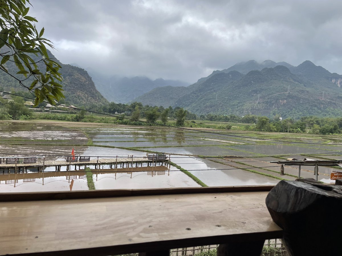 Kyra Hamilton tweet media