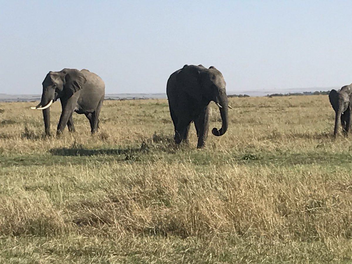 Kenya, 5 yrs ago