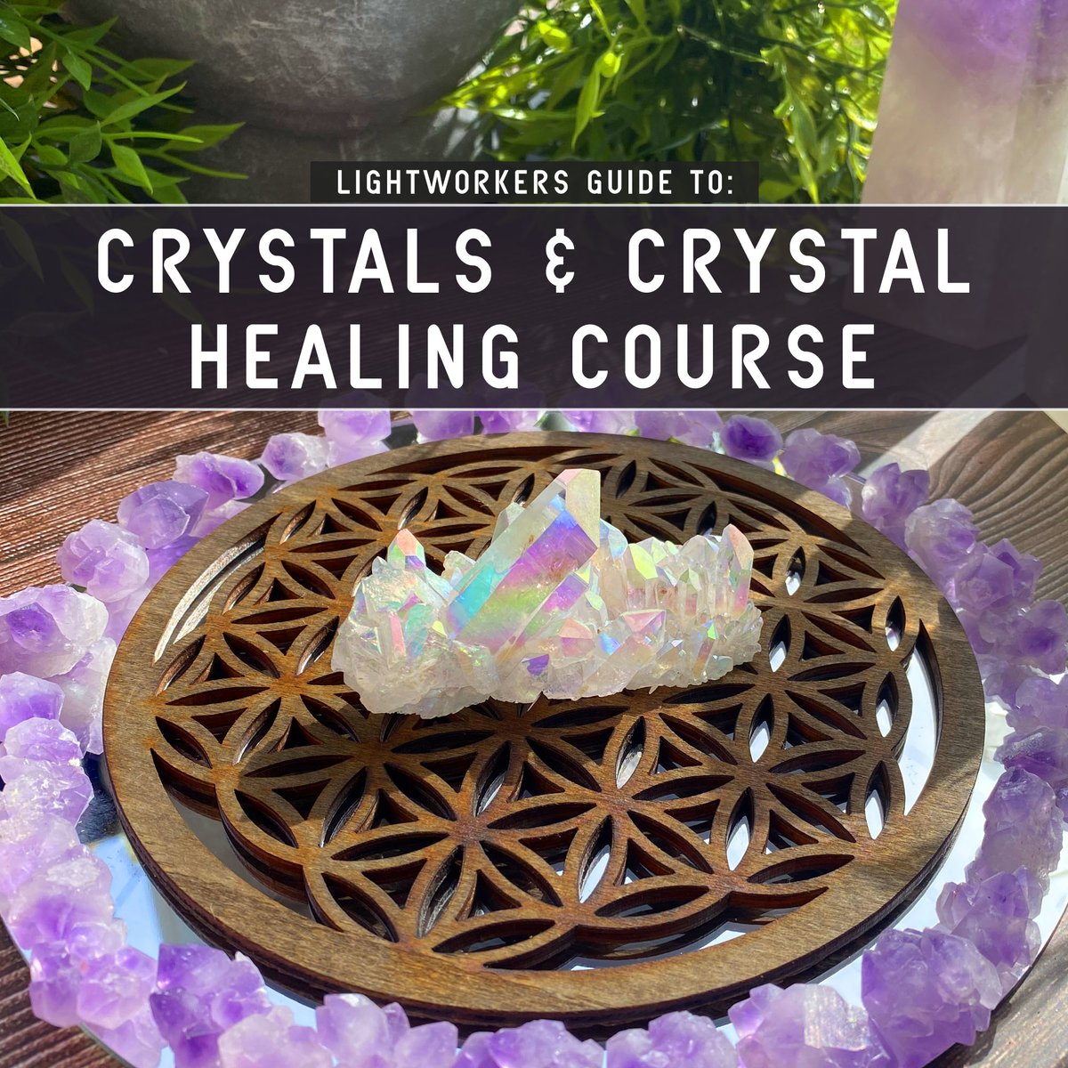 Cryptoreaperrr's tweet photo. Crystal Healing Course 🔥🔥
https://t.co/eX8cHudP6e https://t.co/oGGCNDZfst