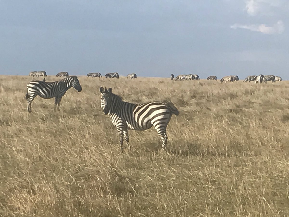 Look at these beauties!