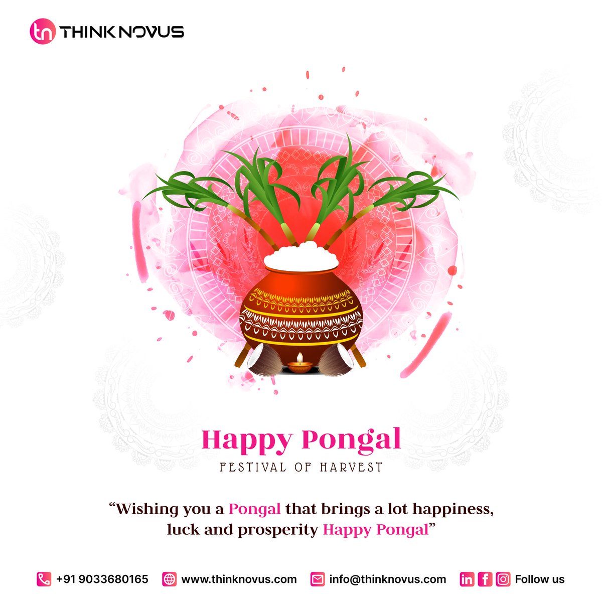 thinknovus's tweet photo. Celebrating the richness of tradition and the bountiful harvest with the festival of Pongal! 🌾✨ May the warmth of family, the joy of togetherness, and the abundance of blessings fill your homes. Wishing everyone a prosperous and joyous Pongal! 🌾🌽 #Pongal #HarvestFestival https://t.co/gnVCOpiybA