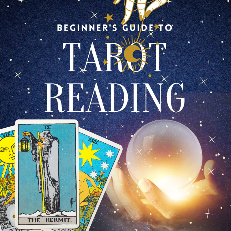 Cryptoreaperrr's tweet photo. Tarot Reading Course 🔥🔥
https://t.co/MvM2l7mL4l https://t.co/Ayik2r7uxG