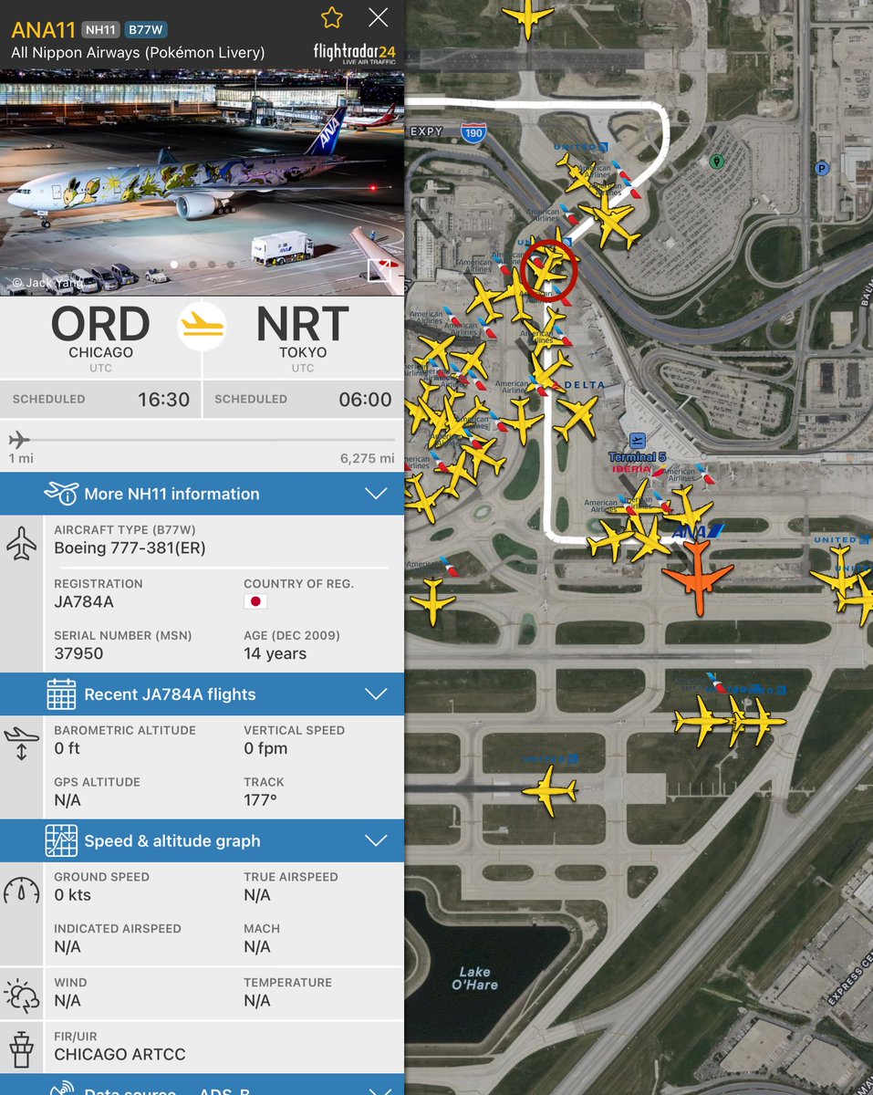WindyCityWxMan's tweet photo. #ChicagoScanner #Chicago #OHare
Aircraft incident
ANA flt 11 Chicago to Tokyo
clipped wing tips with
Delta flt 2122 arriving from Detroit
Taxiway Bravo near gate M2
Minor damage, reports being taken https://t.co/gB5cWuWwbK