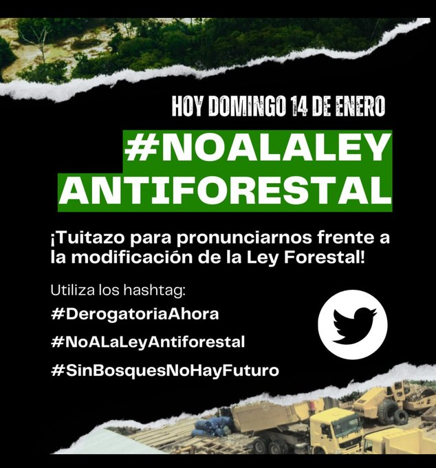 drantonioquispe's tweet photo. #NoALaLeyAntiForestal 

Lo que ha hecho Soto y Cerrón es ILEGAL y atentado contra la sostenibilidad del Perú

La ley de deforestación nos acerca cada vez más a lo que pasa en Ecuador entregando nuestros bosques a las mafias de tala ilegal!!!

BASTA YA de destruir el Perú!!! https://t.co/Ap2dNiRdMi