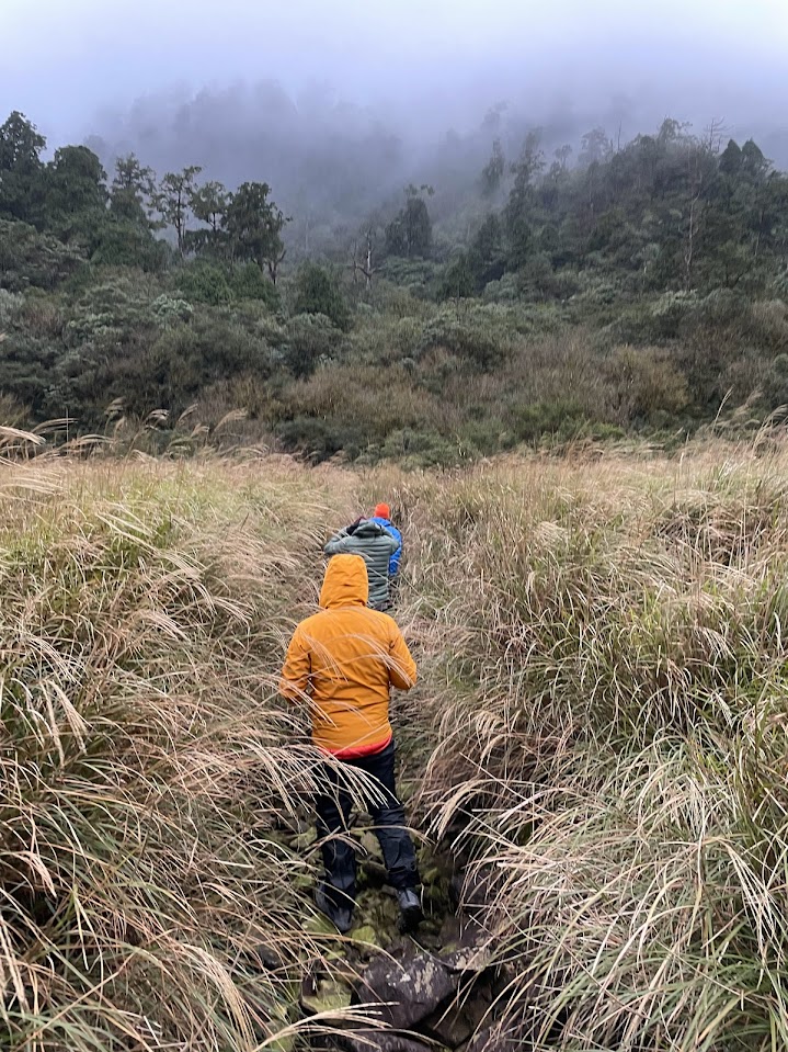 MarcoGrishaber's tweet photo. Taiwan elected a new president last weekend.

This allowed one in four years to hike to the usually packed and busy yet beautiful SongLuo Hu (松羅湖) in Yilan, Taiwan. It is a famous spot amongst the local hikers. https://t.co/djp0ZMqPS2