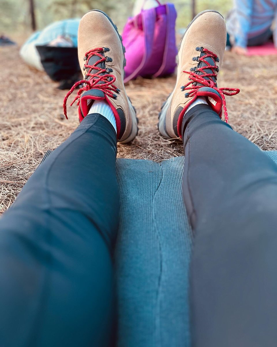 Alejandro Elizondo tweet media