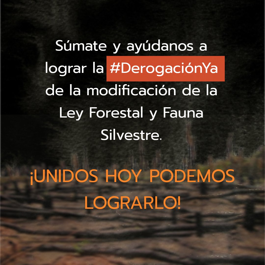 keneamazon's tweet photo. NO a la Ley Antiforestal📣El congreso aprobó la nefasta Ley Antiforestal: * Acelerará el ritmo de destrucción de la Amazonía. * Legaliza e incentiva la deforestación de bosques. * Desproteje a defensores ambientales  #NoALaLeyAntiforestal #DerogatoriaAhora #SinBosquesNoHayFuturo https://t.co/COHTVfgxfz
