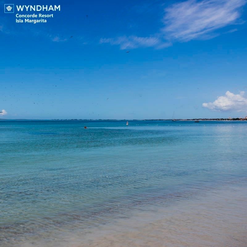jecc01's tweet photo. Suites con vista al mar, además con una de las mejores playas de la isla, Concorde. https://t.co/BYEtHLx7mt