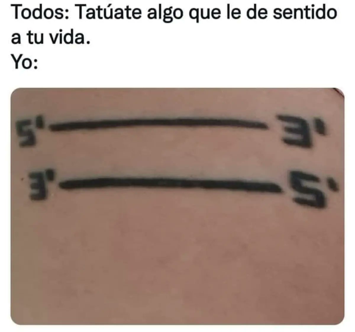 MsCiencia2's tweet photo. Un poco de humor 🤭 https://t.co/P5lKKr8bMr