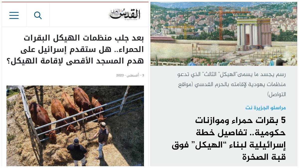 Ahmed tweet media