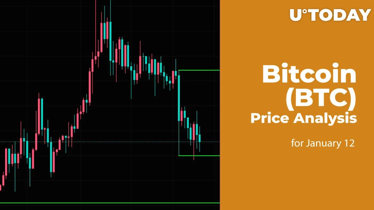 murat türk tweet media