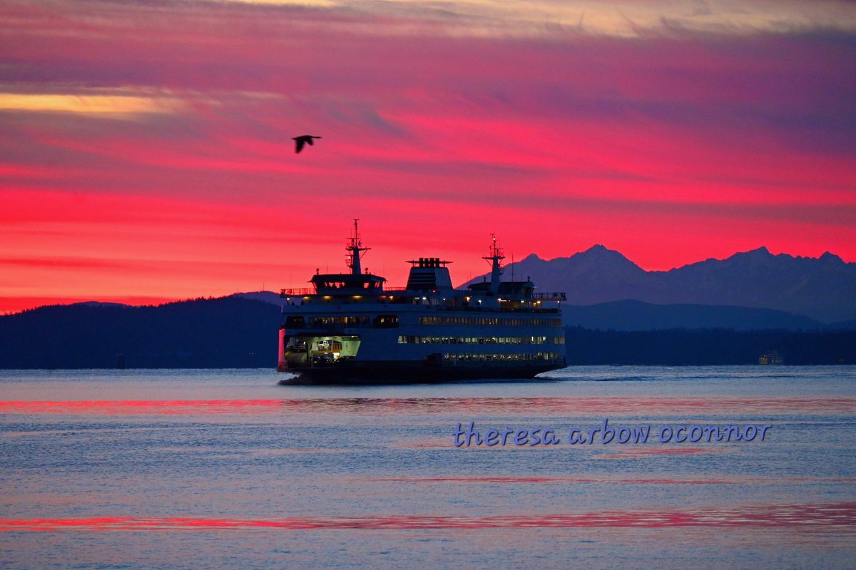 TheresaArbowOC's tweet image. Perfect ending to this beautiful weekend ♡ @SeattleWaterfnt @komonews