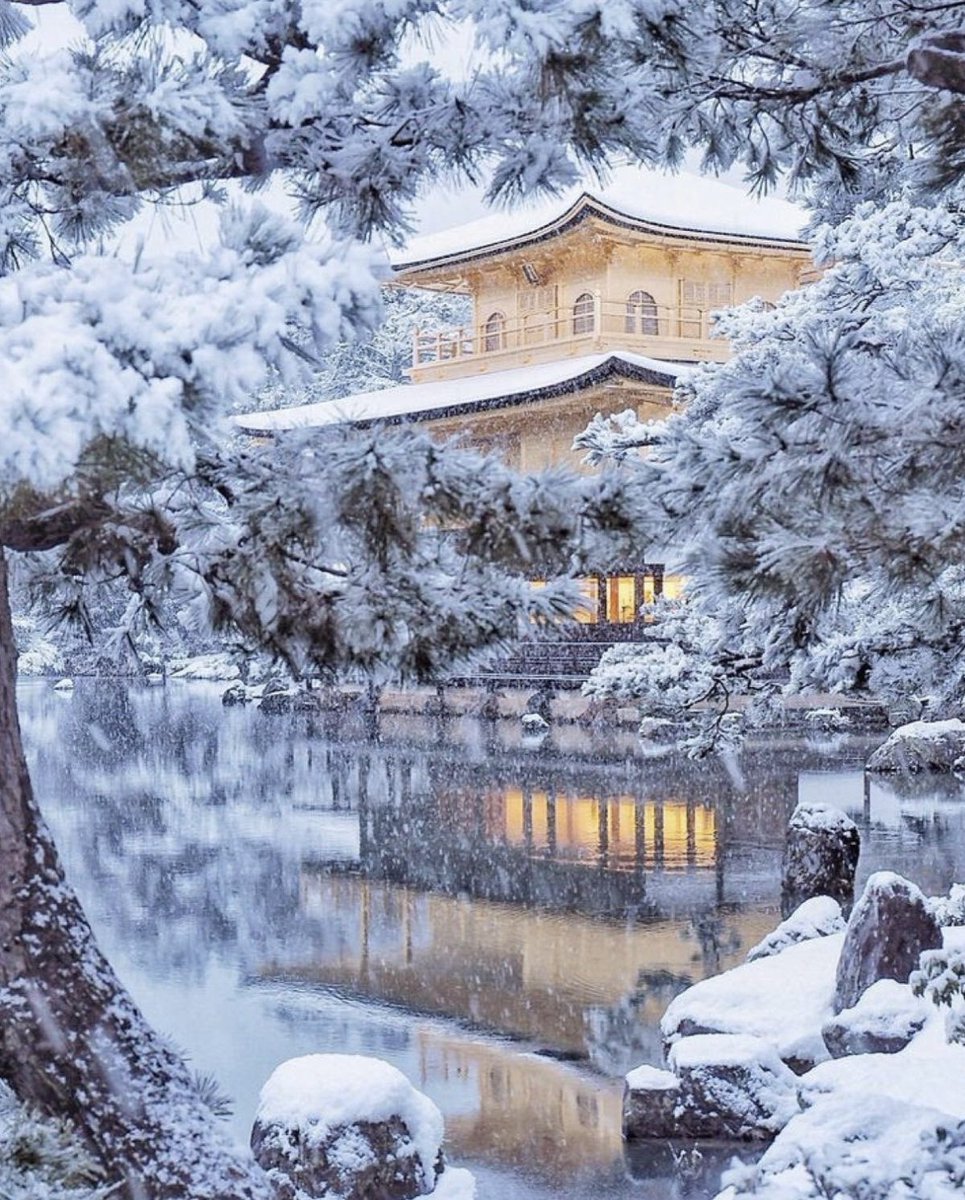h e l e n a ☃️🌸🍁 tweet media