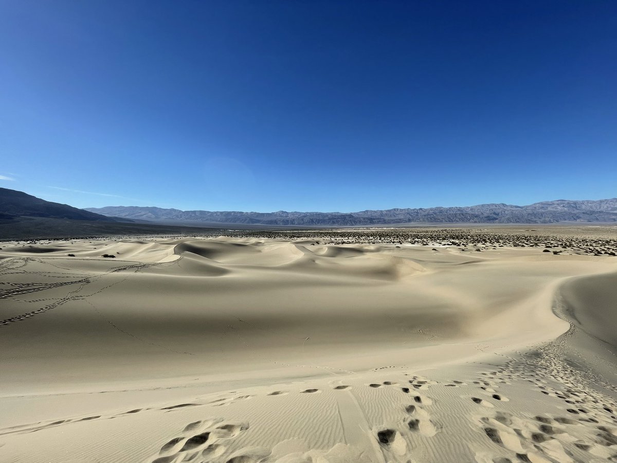 ramirezmath tweet media