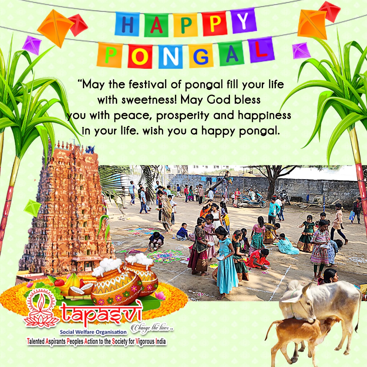 tapasviindia's tweet photo. A beautiful,bright and delighted day,
sun entered makar to intense the ray.
crop harvested to cheer the smiles,
come together and enjoy the life kites flying high to touch the happiness,
til mangled with sweet to spread sweetness.
Time to enjoy the moment with full https://t.co/atMLkyCEUw