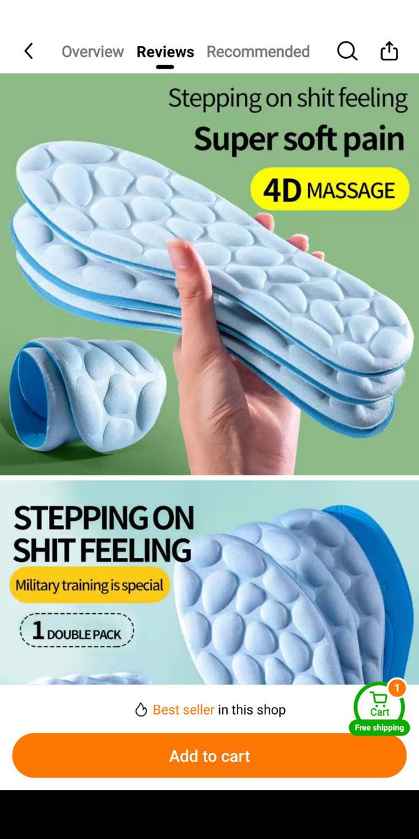 temu is the greatest place on earth