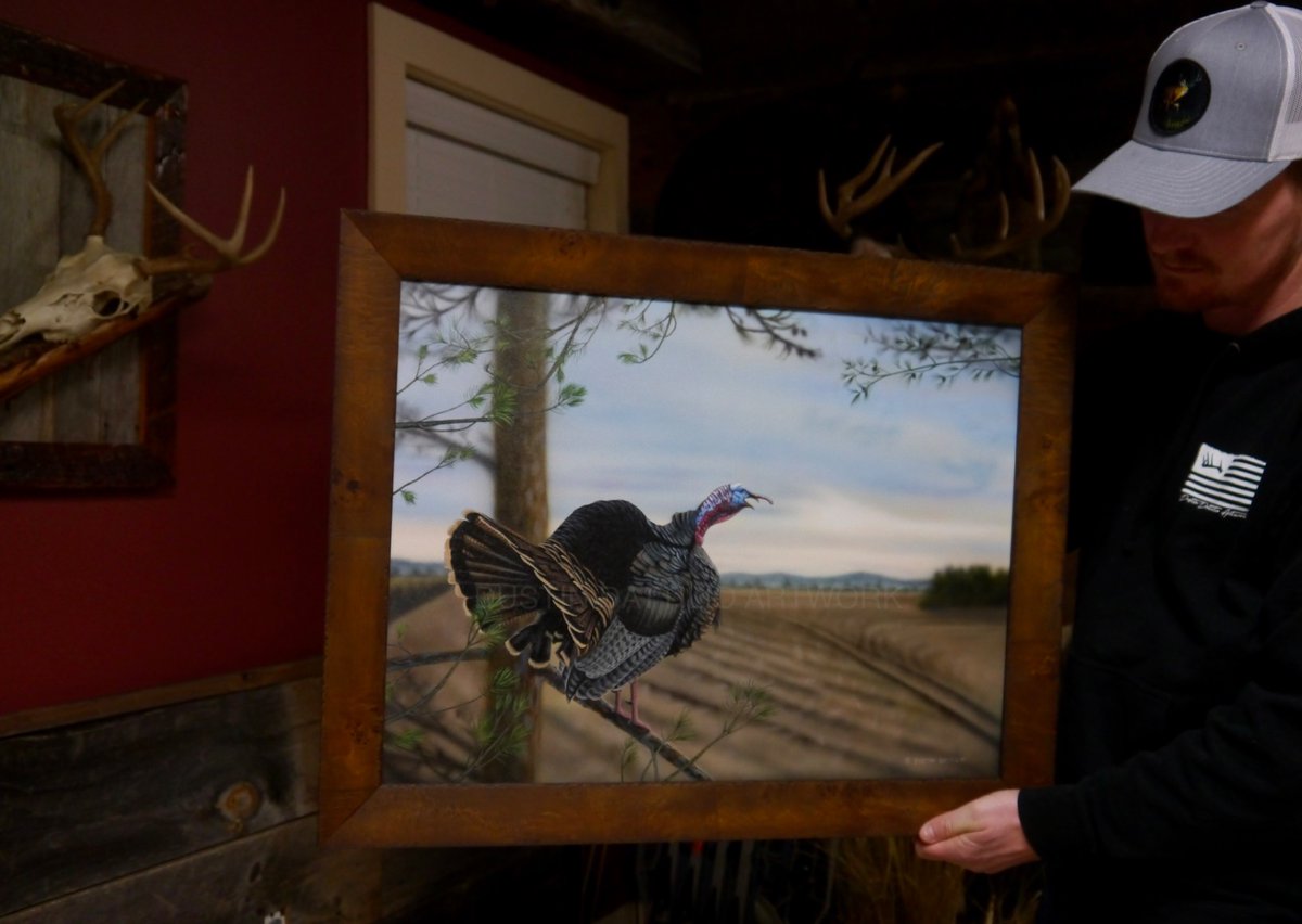 Finished &amp; framed! Happy with how this painting turned out! #turkey #painting #wildlife #hunting <a href="/NWTF_official/">The National Wild Turkey Federation</a> <a href="/MossyOak/">Mossy Oak</a>