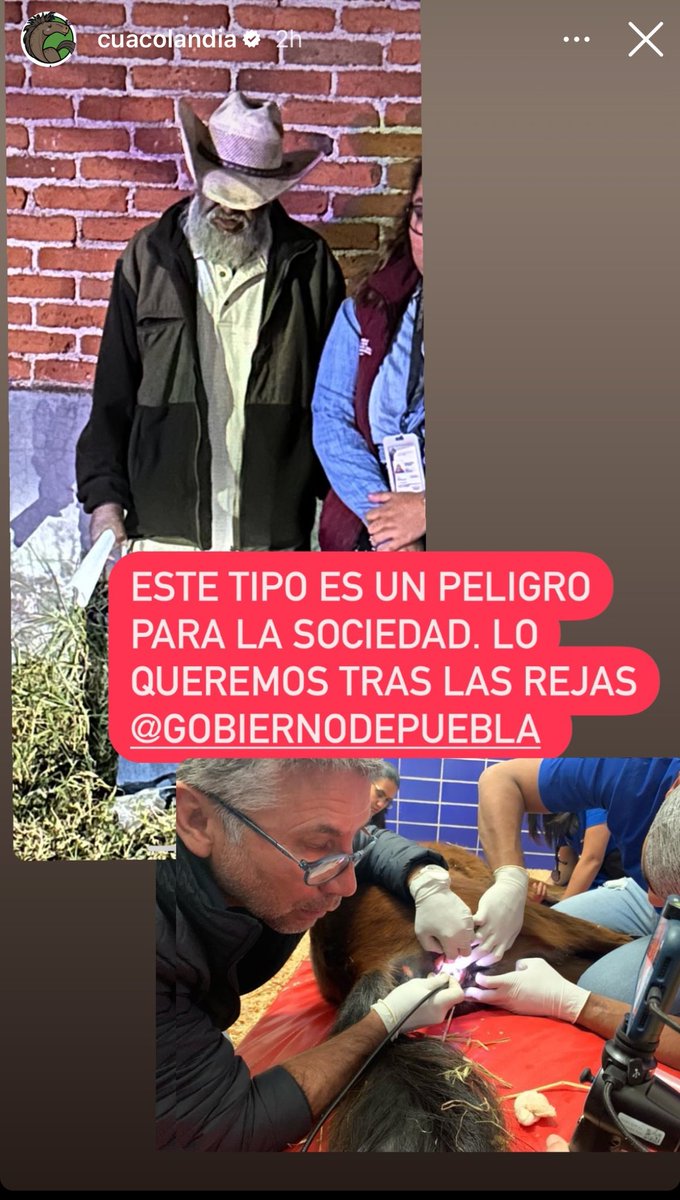 Fundación Toby (@fundaciontoby) on Twitter photo Elena casi no usa Twitter pero sabe que aquí somos su voz y su todo.
Nos unimos al reclamo, pedimos cárcel para el maltratador, la potranca trae la vulva destrozada, saquen sus conclusiones.
Por favor <a href="/PueblaAyto/">Ayuntamiento de Puebla</a> <a href="/FiscaliaPuebla/">FGE Puebla</a> no permitamos que esto quede impune.
No dejen a Elena casi no usa Twitter pero sabe que aquí somos su voz y su todo.
Nos unimos al reclamo, pedimos cárcel para el maltratador, la potranca trae la vulva destrozada, saquen sus conclusiones.
Por favor <a href="/PueblaAyto/">Ayuntamiento de Puebla</a> <a href="/FiscaliaPuebla/">FGE Puebla</a> no permitamos que esto quede impune.
No dejen a
