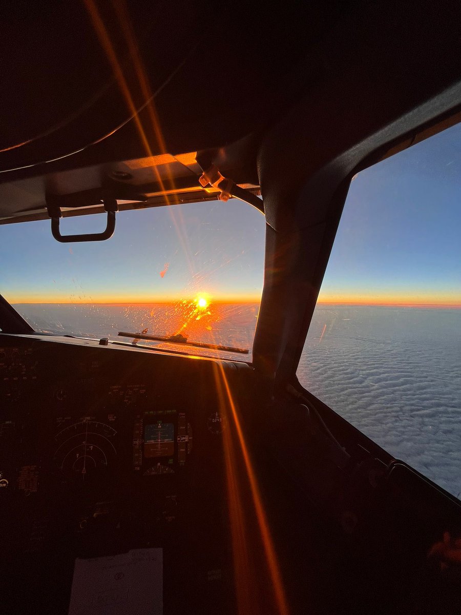 Drone 06 tweet media