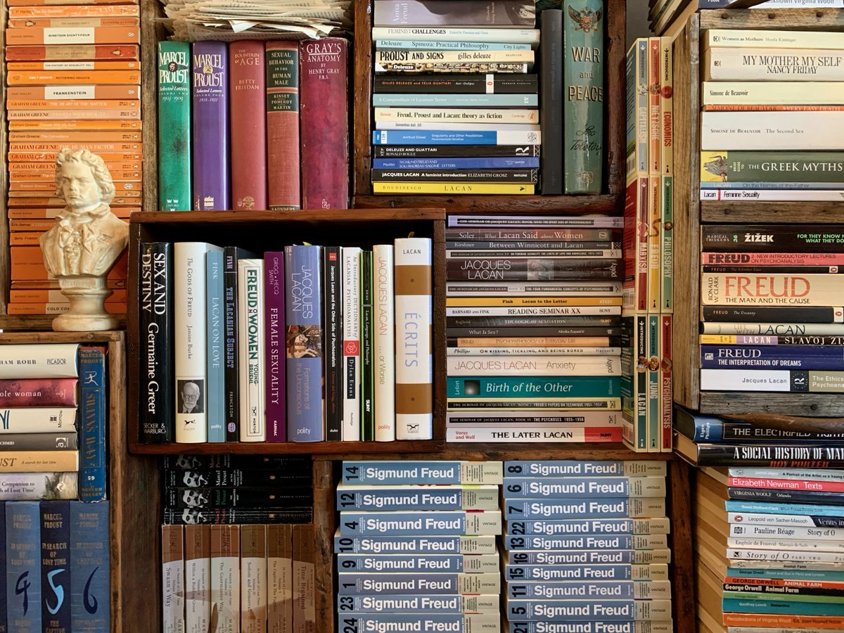 lacancircle's tweet photo. Psychoanalytic Shelfie https://t.co/q4NbM2ChQd