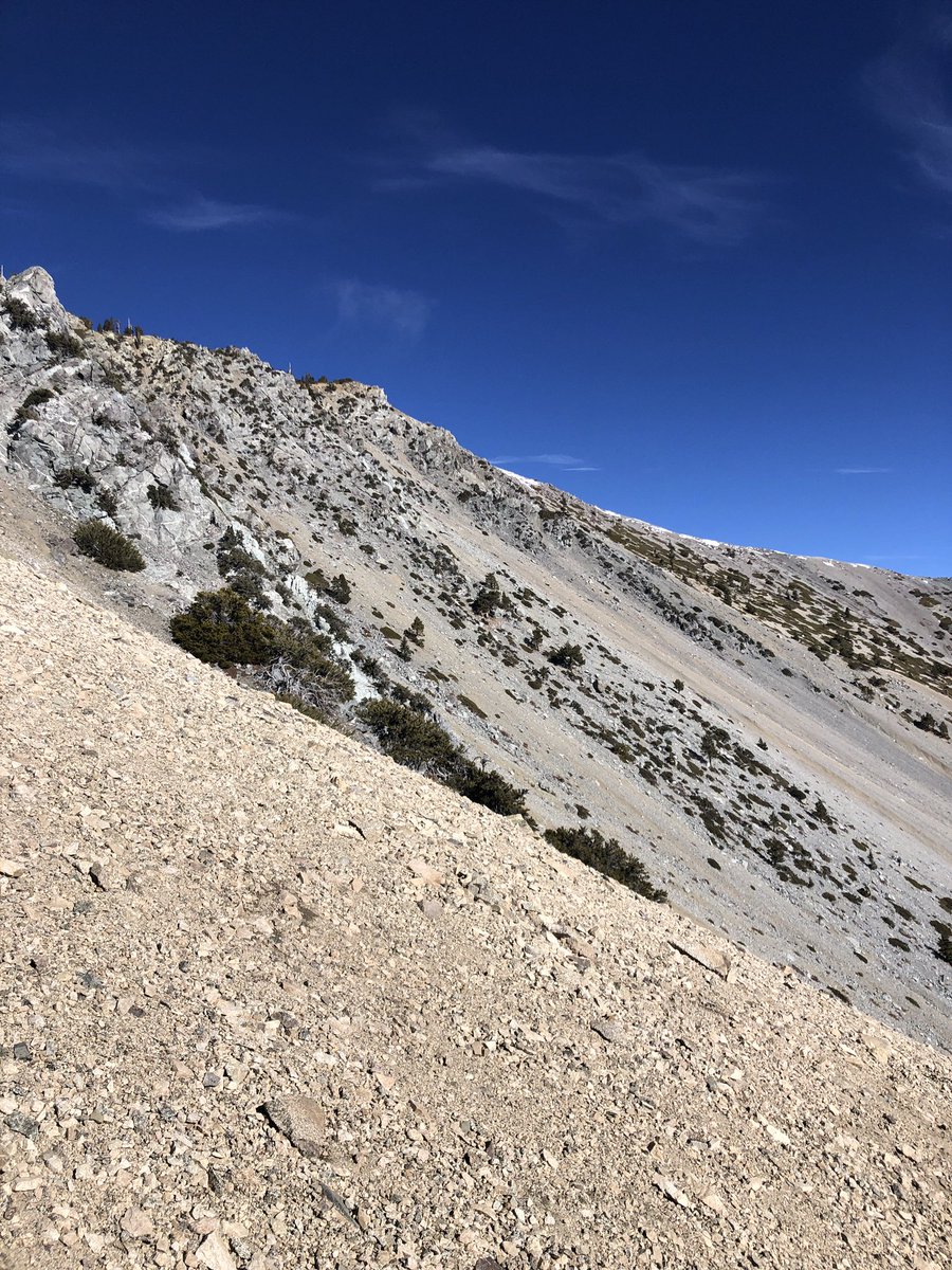 Gn 😴 currently sore from 10+ miles today to summit Mt. Baldy