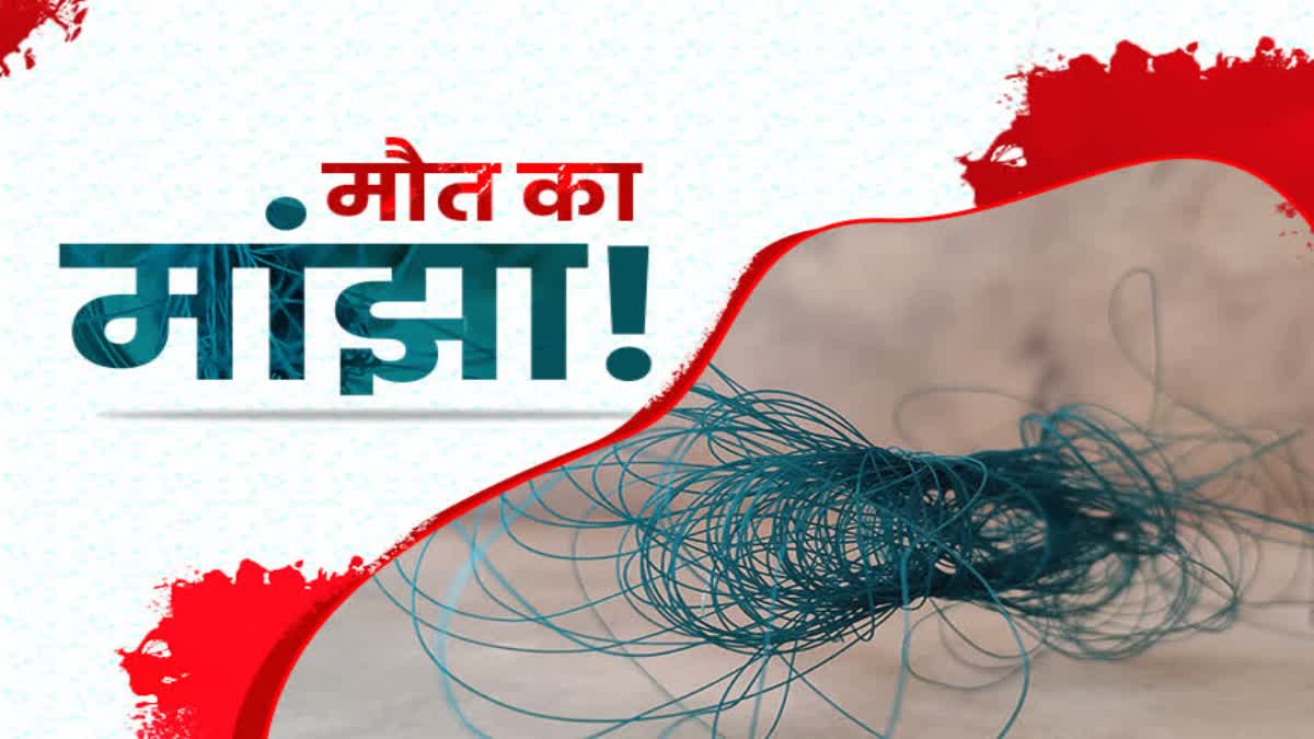 ETVBharatRJ's tweet image. चाइनीज मांझे की चपेट में आने से बुजुर्ग व्यक्ति की कटी गर्दन etvbharat.com/hindi/rajastha… 
#KiteMan #makarsankranti2024 #kitefestival