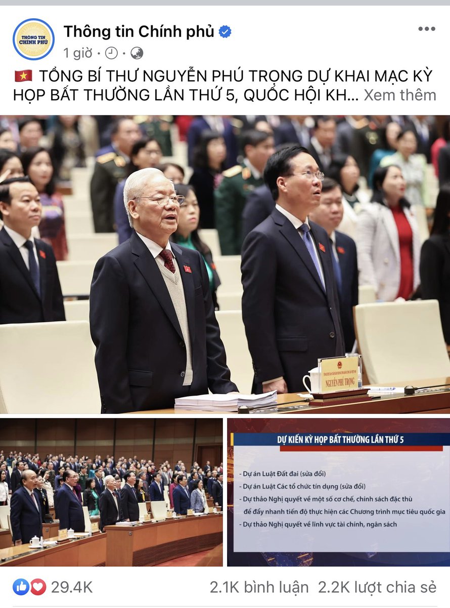 Bug Son 🐥 tweet media