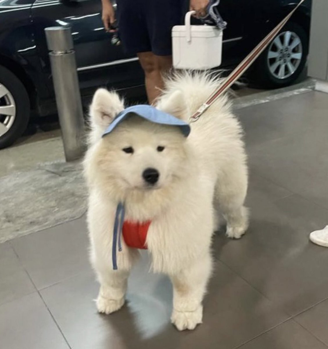 dogonboo's tweet photo. พี่ซ๋าวคนไหนอยากเลี้ยงหนม พ้อมแล้ว https://t.co/Kb4ks6bnFN