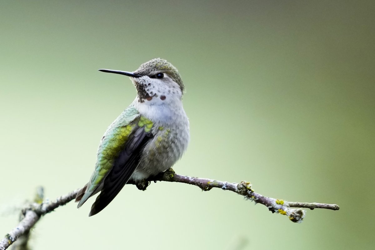 Lindsey Wasson 📸 tweet media