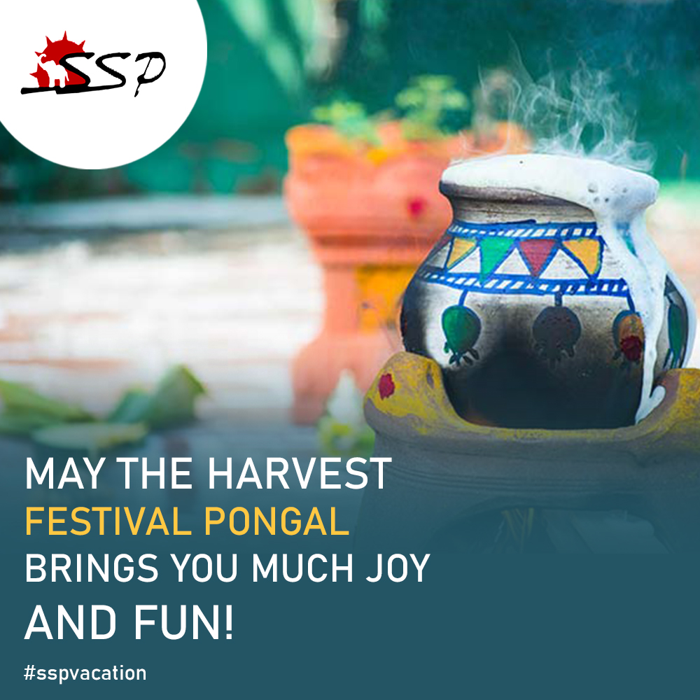 SspVacation's tweet photo. Happy Pongal https://t.co/hsniFS2jds