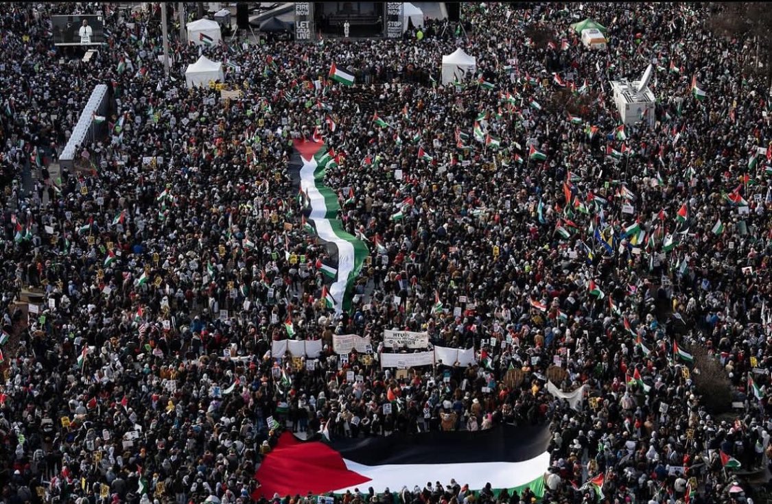 Toronto4P's tweet photo. Washington's 400,000 march for Gaza. The largest Palestinian protest in the history of the United States #T4P https://t.co/UlAKapP2W5