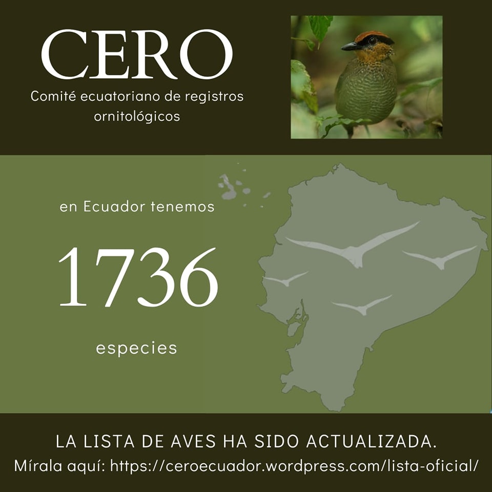 El  Comité Ecuatoriano de Registros Ornitológicos (CERO), acaba de  actualizar el listado de las especies de aves del Ecuador. Tenemos 1736  especies.  Para descargar el listado pueden dar clic en el siguiente  enlace: ceroecuador.wordpress.com/lista-oficial/ #aves #Ecuador #Ornitología #birding