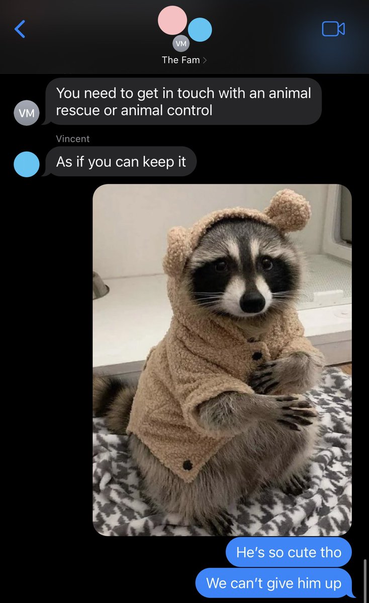 Grand Junction Shares Photos of Pets on National Pet Day, image size:734x1200