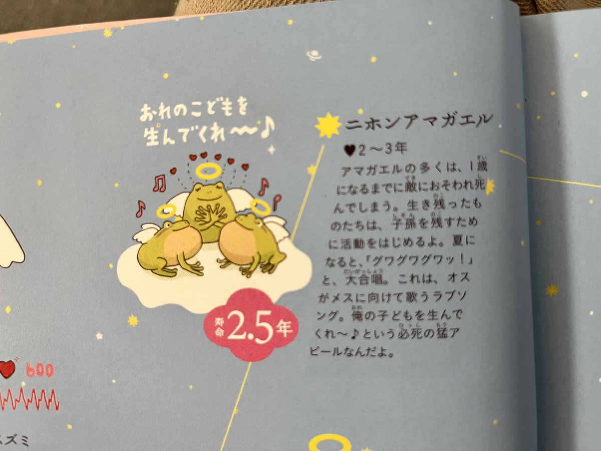 semimaru703's tweet photo. 小1の娘が「俺の子供を産んでくれー」と独り言を言ってたから、どこでそんな子供覚えたんだと聞くと読んでた本を見せられた。
そうか。まっちゃんはアマガエルだったのか。 https://t.co/isGktjjdps