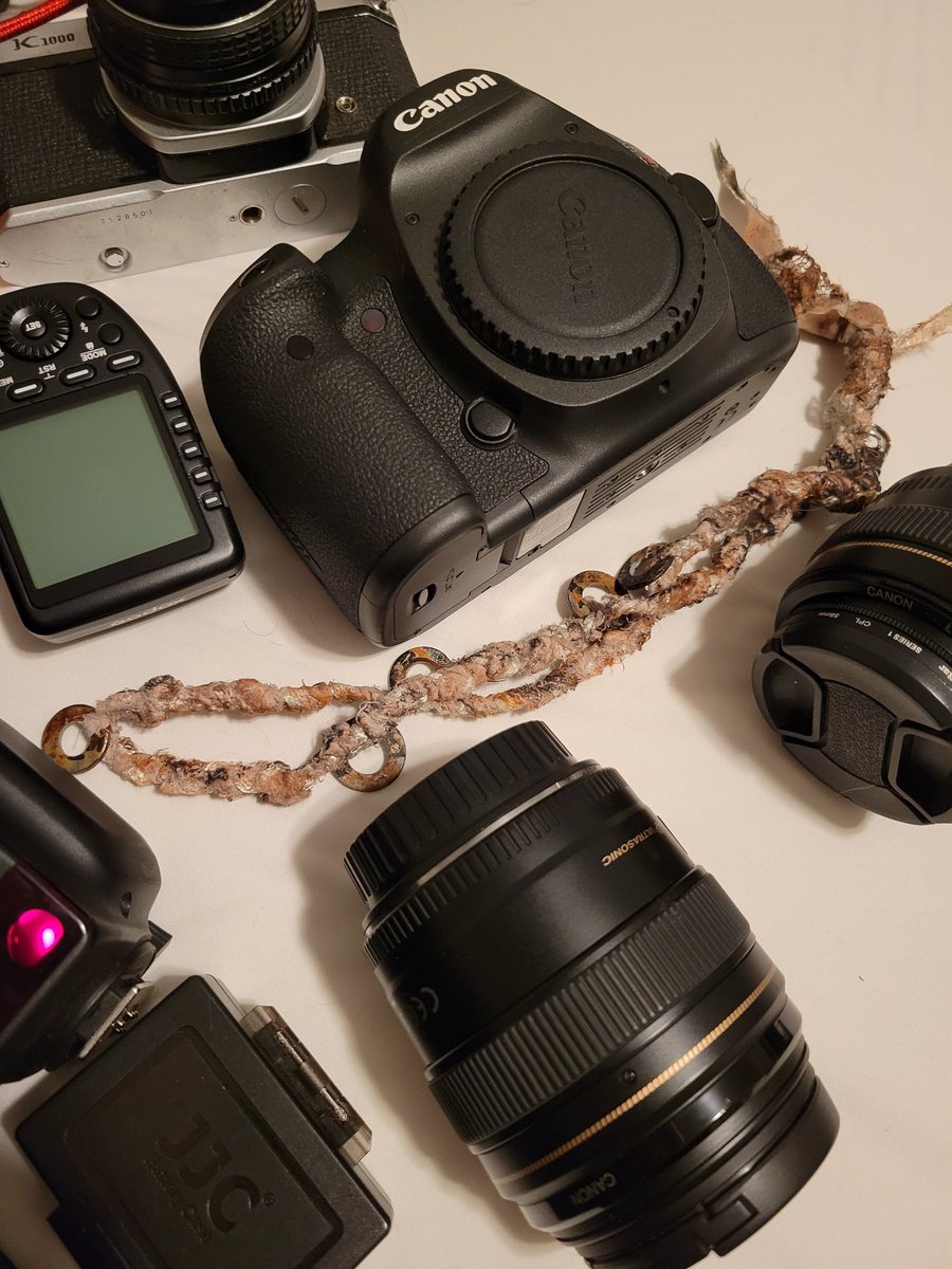 Point Blank Shot Photography tweet media