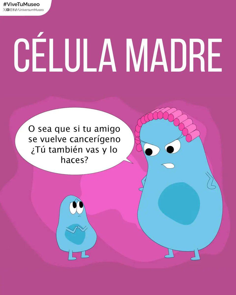 RincnCuriosoo's tweet photo. Células madre 🤭😵 https://t.co/05RPazTN4G